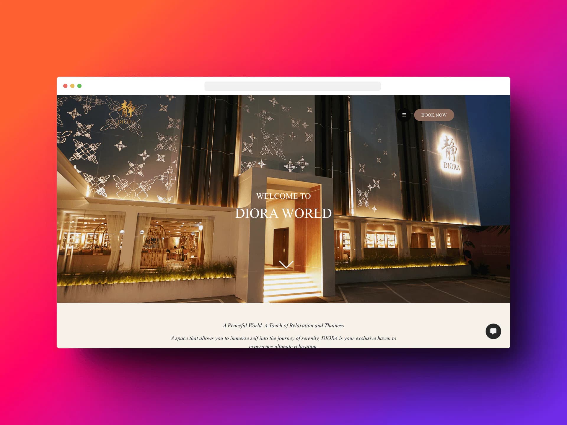 Diora Spa Website Design 2 website design services and other services by nConnect