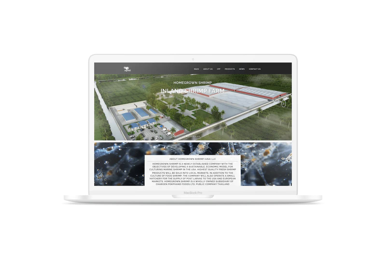 CPF HGS2 website design services and other services by nConnect