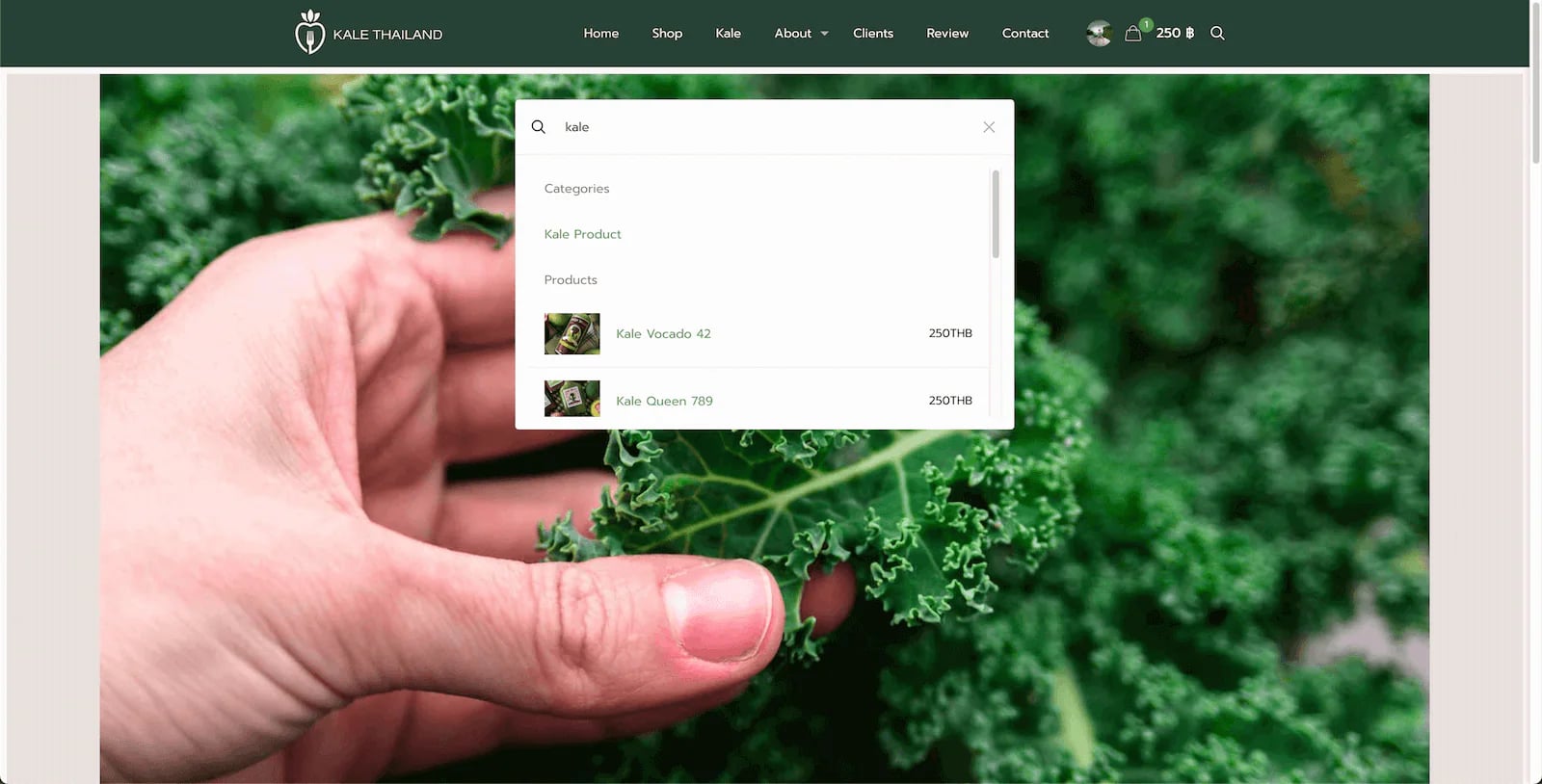 Kale Thailand Farm Website 14 website design services and other services by nConnect