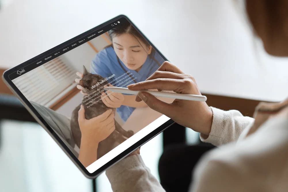 Odaijinipet website design services and other services by nConnect